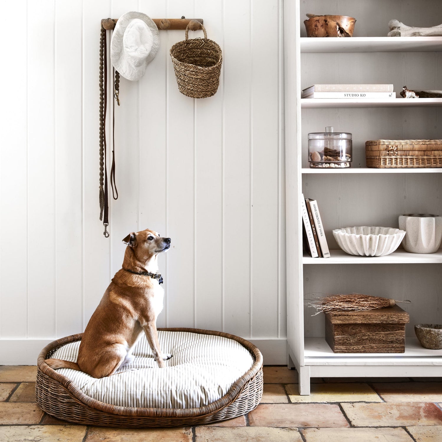 dog sitting in dog bed next to bookcase- Number 2