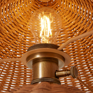 lightbulb inside rattan shade - Number 5