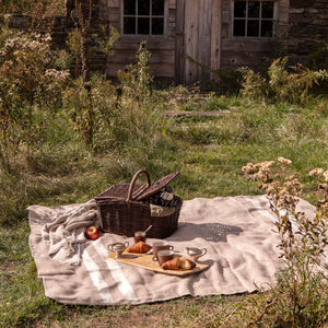 picnic basket outside on blanket - Number 5