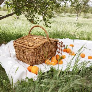 woven picnic basket outside on picnic blanket with oranges - Number 2