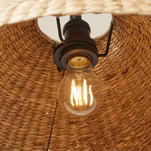 lightbulb inside seagrass shade - Number 5
