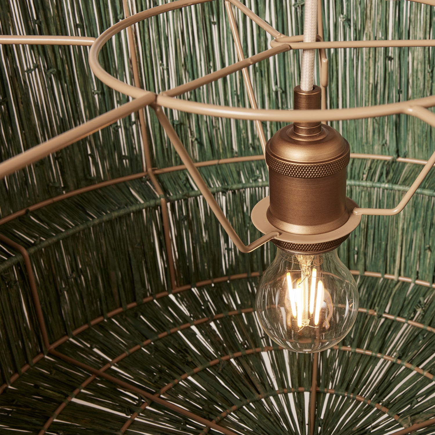 Vintage-style light bulb in a decorative metal fixture against a textured green background- Number 10