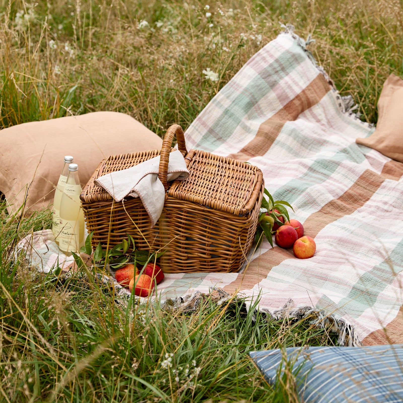 a picnic blanket and pillow in a field, with a picnic basket on top next to fruits and wine