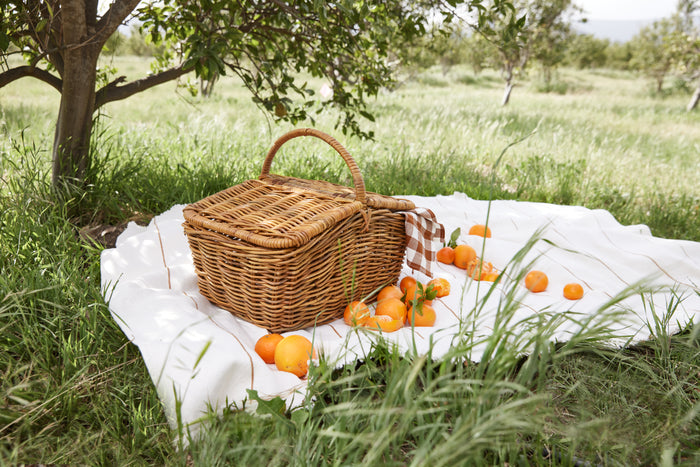 picnic basket on blanket outside with oranges